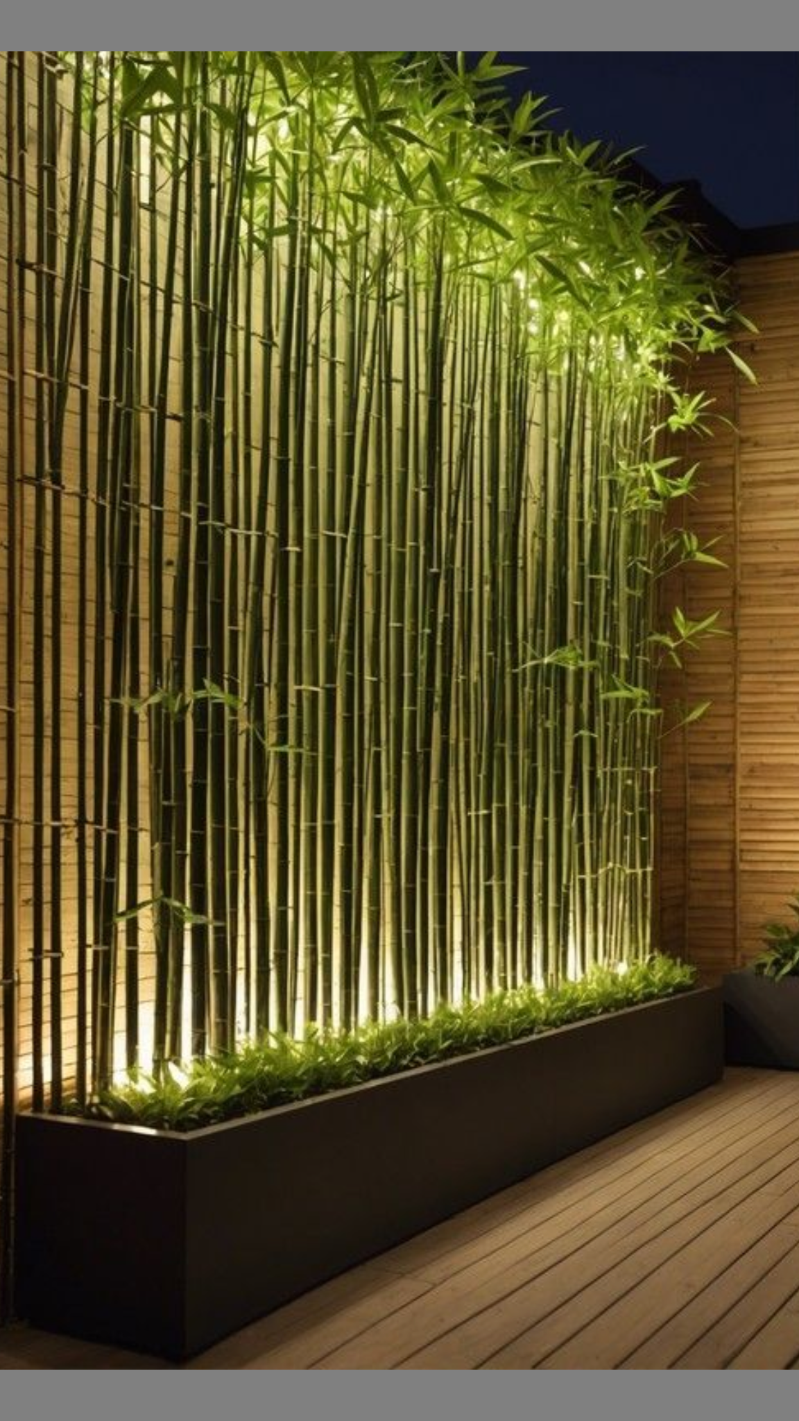 Écran paysager en bambou par My Universe Design